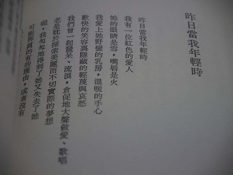 《歧路花園》台北，2010 年，林維甫著。內文以日星鑄字行的宋體排印。